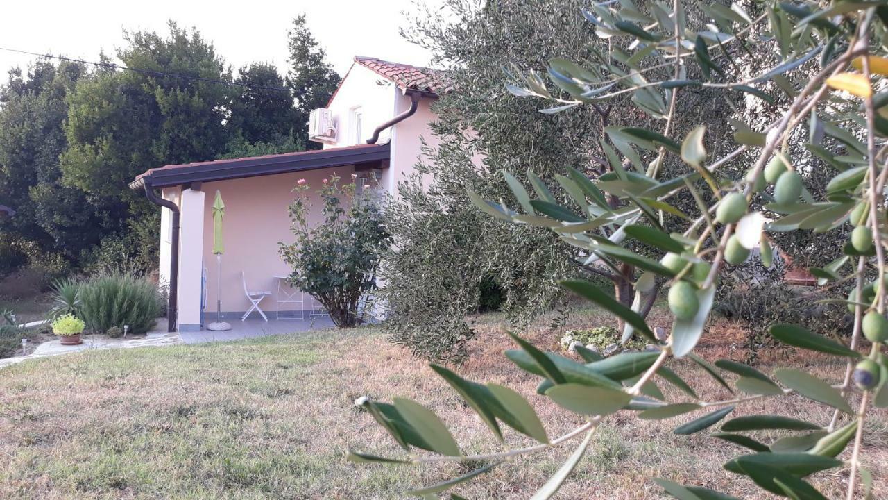 Willa House Barizoni Ankaran Zewnętrze zdjęcie