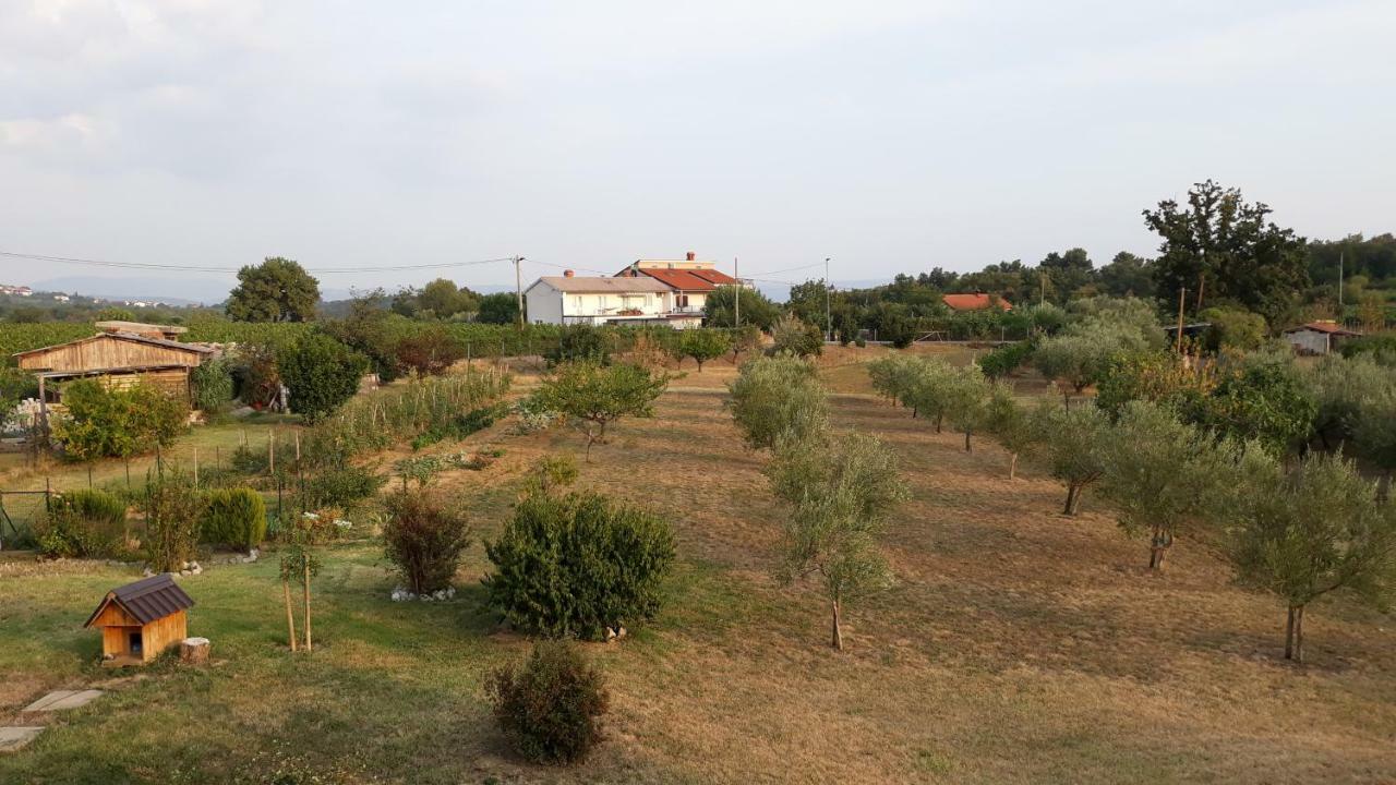 Willa House Barizoni Ankaran Zewnętrze zdjęcie